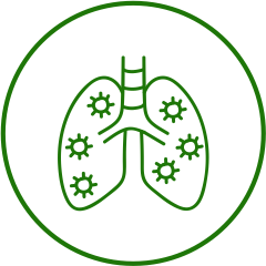 Respiratory Health Icon