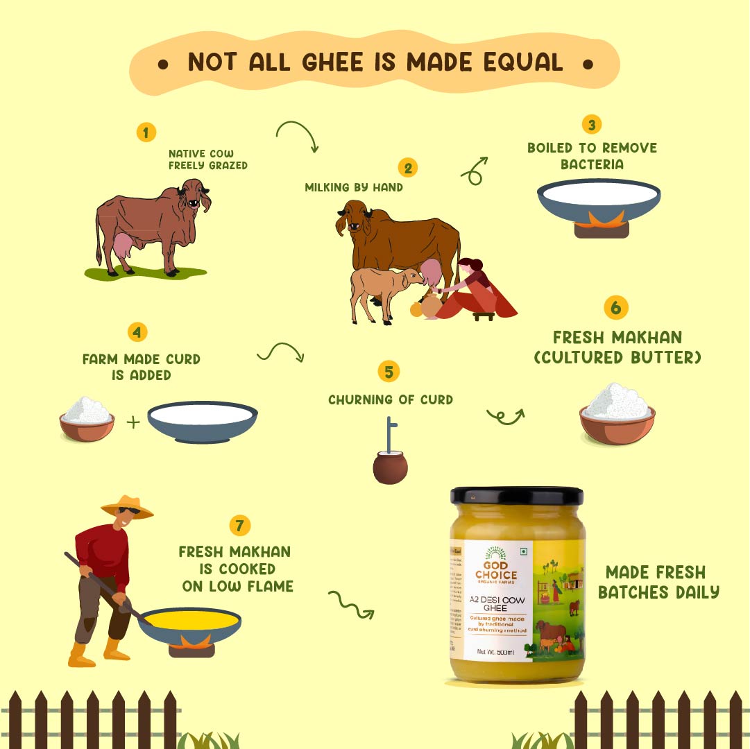 A2 Desi Cow Ghee making process