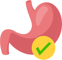 Aids Digestion Icon