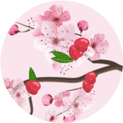 Lychee Flower Floral Honey Icon