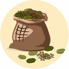 Premium Black Sesame Seeds Icon