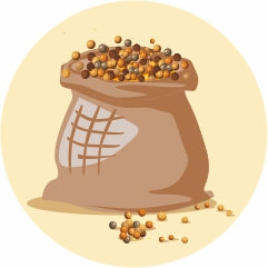 Yellow Mustard Oil Organic Seeds Icon