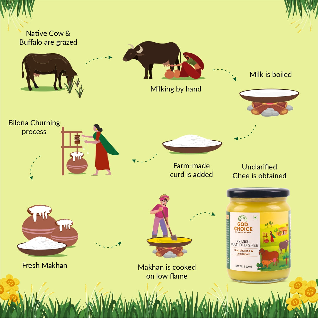 A2 Cultured Ghee | Curd Churned