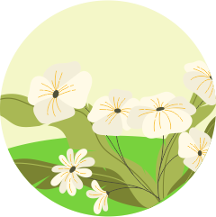 eucalyptus Mono floral honey icon